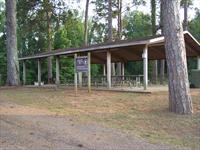 Park Shelter in the Trees